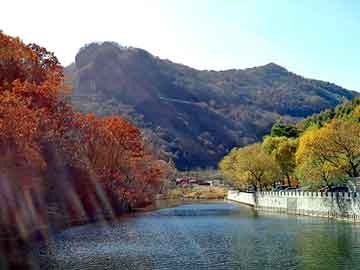 天天彩好彩天天免费，五家渠物流